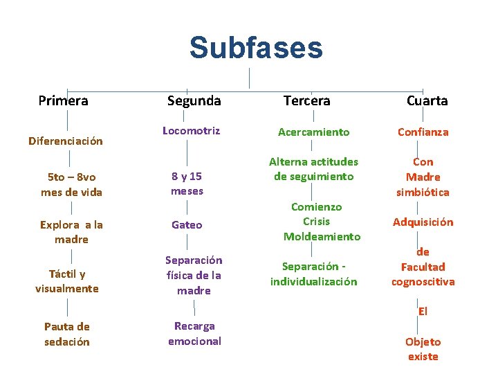 Subfases Primera Diferenciación Segunda Locomotriz 5 to – 8 vo mes de vida 8