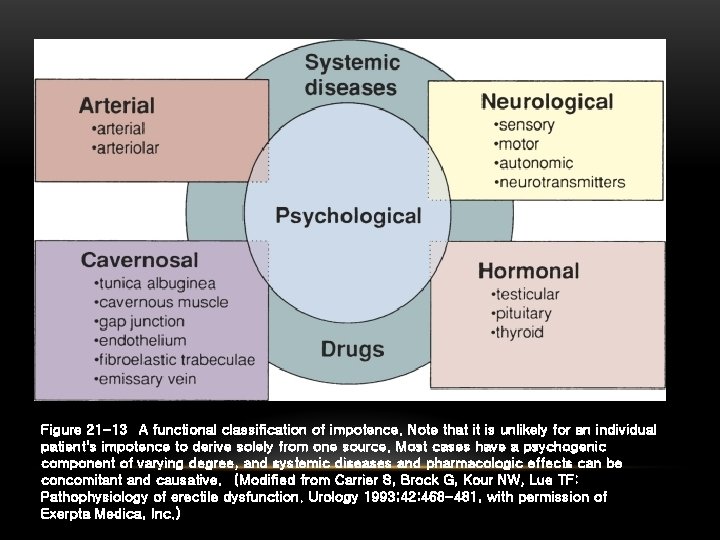 REMÈDES NATURELS POUR LES BRÛLURES D'ESTOMAC PENDANT LA GROSSESSE