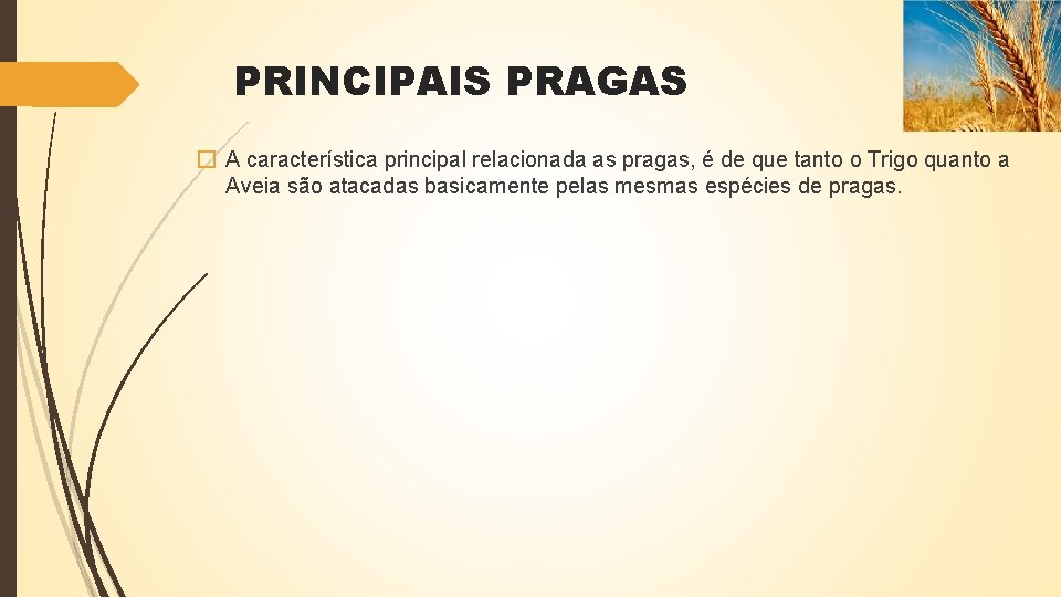 PRINCIPAIS PRAGAS � A característica principal relacionada as pragas, é de que tanto o