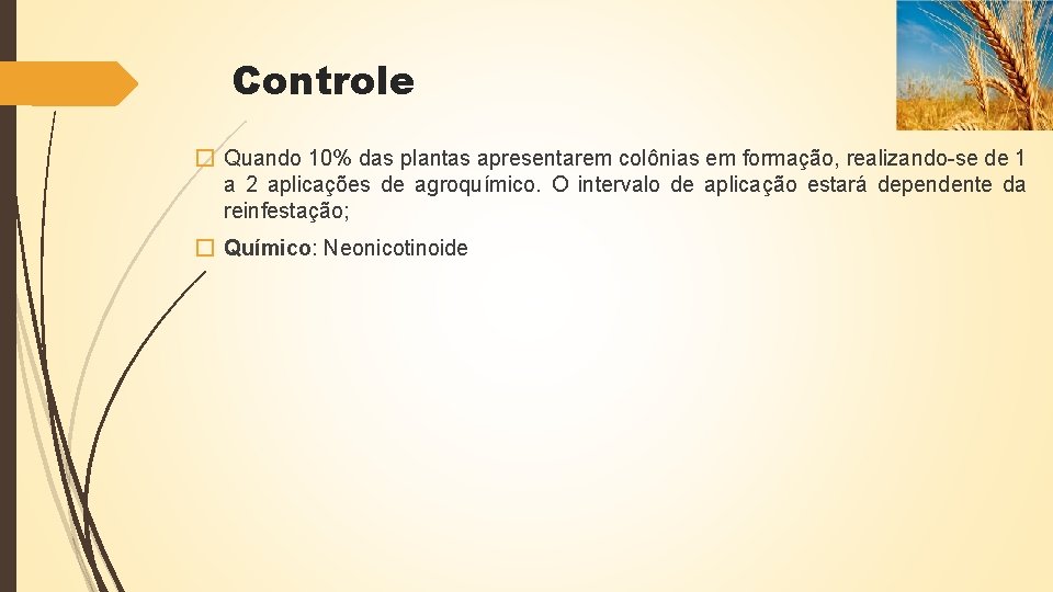 Controle � Quando 10% das plantas apresentarem colônias em formação, realizando-se de 1 a