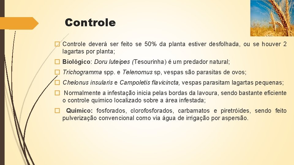 Controle � Controle deverá ser feito se 50% da planta estiver desfolhada, ou se