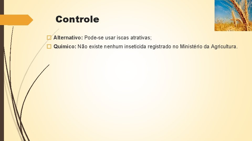 Controle � Alternativo: Pode-se usar iscas atrativas; � Químico: Não existe nenhum inseticida registrado