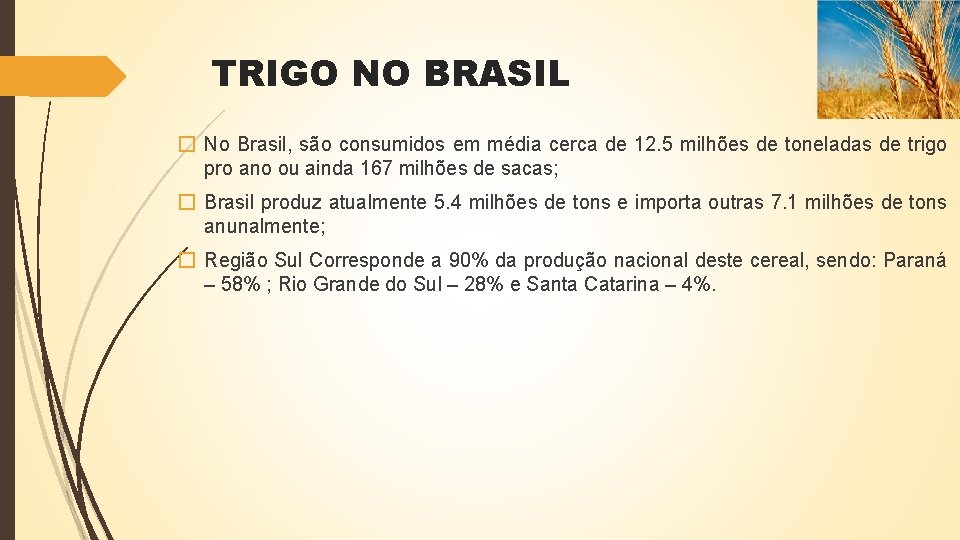 TRIGO NO BRASIL � No Brasil, são consumidos em média cerca de 12. 5