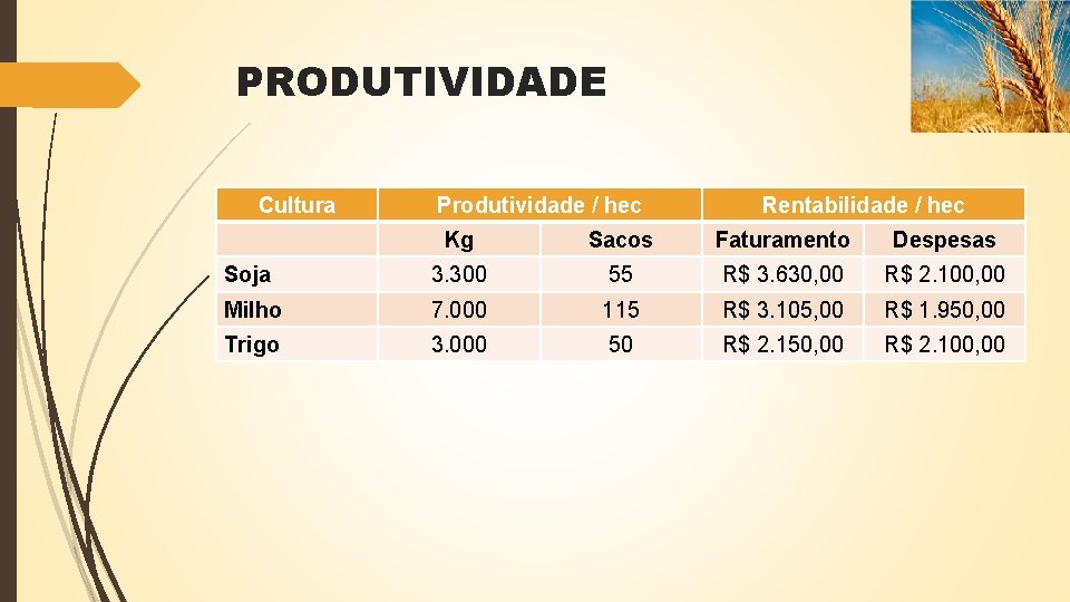 PRODUTIVIDADE Cultura Produtividade / hec Rentabilidade / hec Kg Sacos Faturamento Despesas Soja 3.