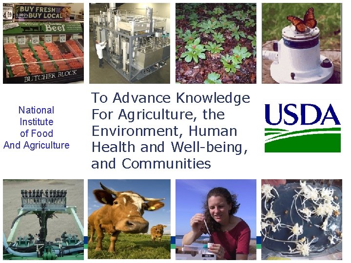 National Institute of Food And Agriculture To Advance Knowledge For Agriculture, the Environment, Human