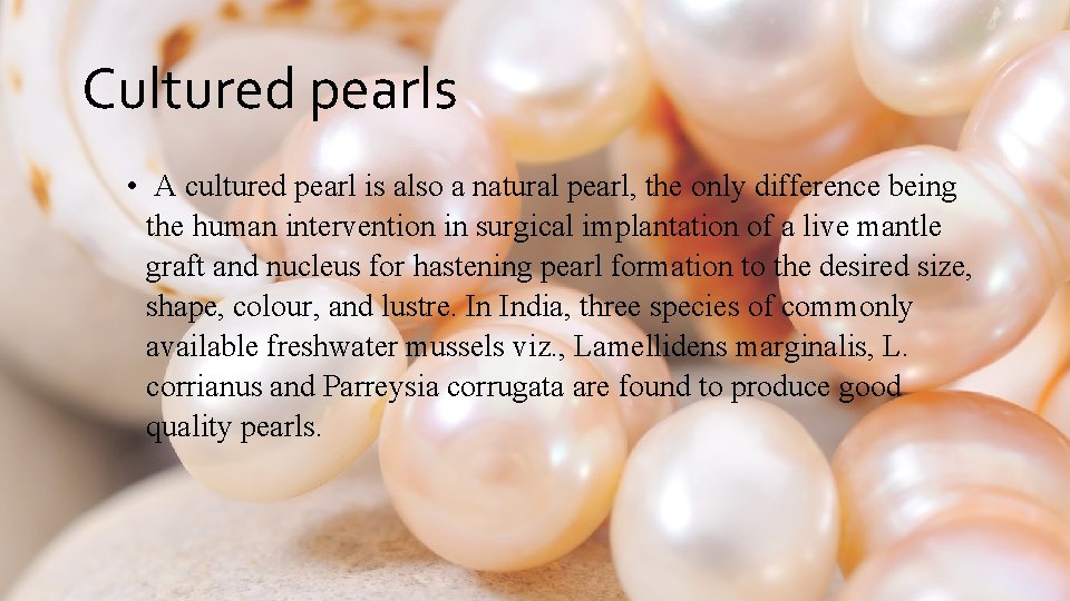 Cultured pearls • A cultured pearl is also a natural pearl, the only difference