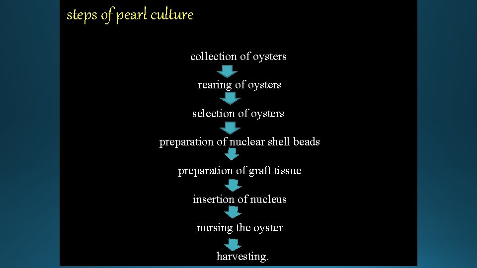steps of pearl culture collection of oysters rearing of oysters selection of oysters preparation