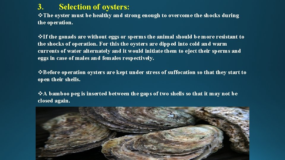 3. Selection of oysters: v. The oyster must be healthy and strong enough to