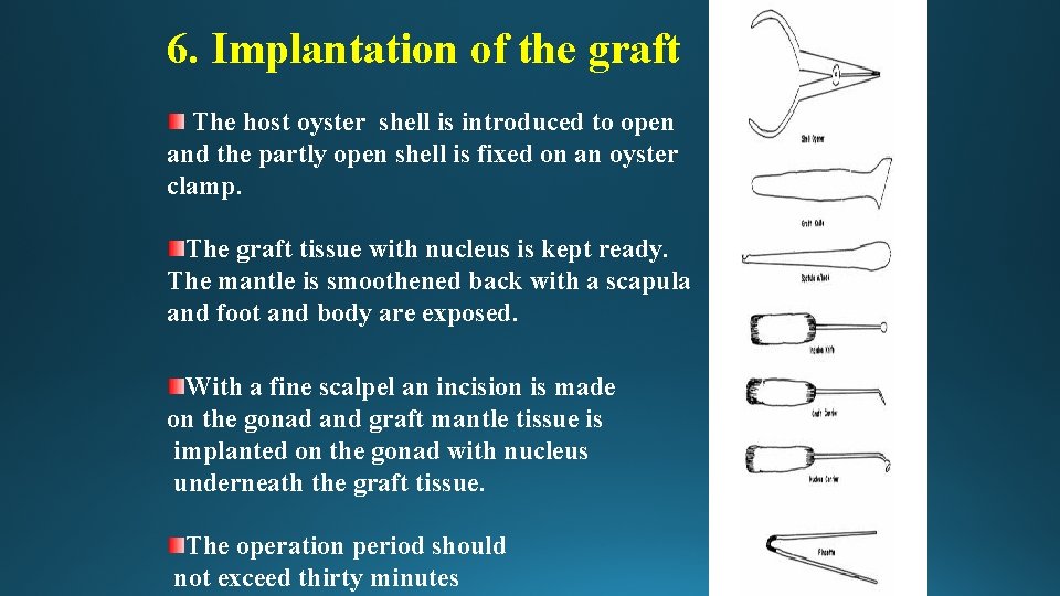 6. Implantation of the graft The host oyster shell is introduced to open and