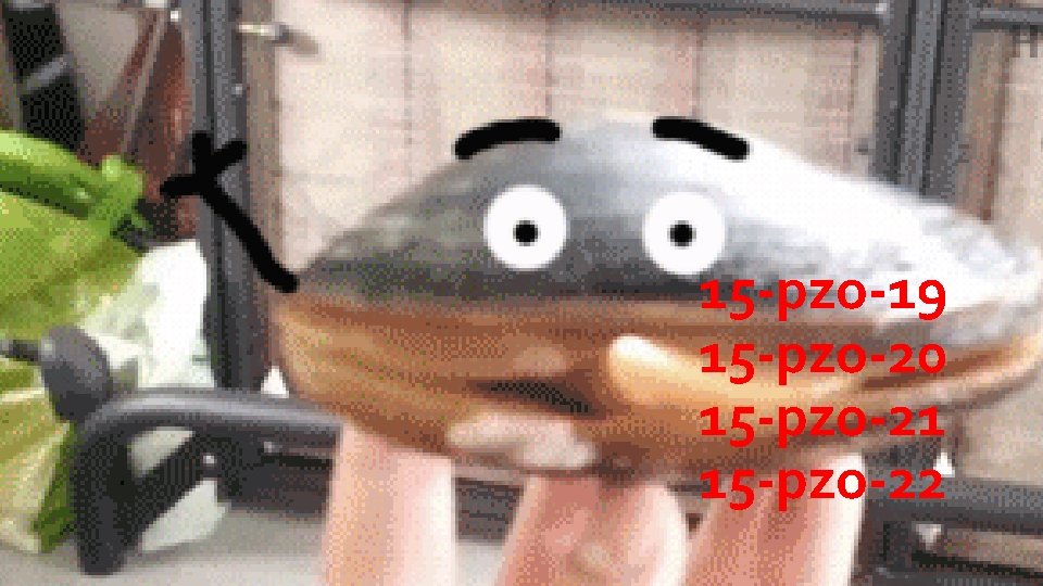 15 -pzo-19 15 -pzo-20 15 -pzo-21 15 -pzo-22 