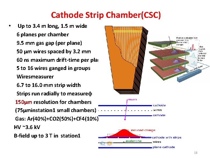 Cathode Strip Chamber(CSC) • Up to 3. 4 m long, 1. 5 m wide