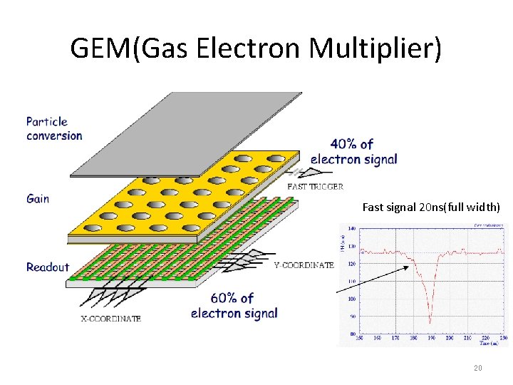 GEM(Gas Electron Multiplier) Fast signal 20 ns(full width) 20 