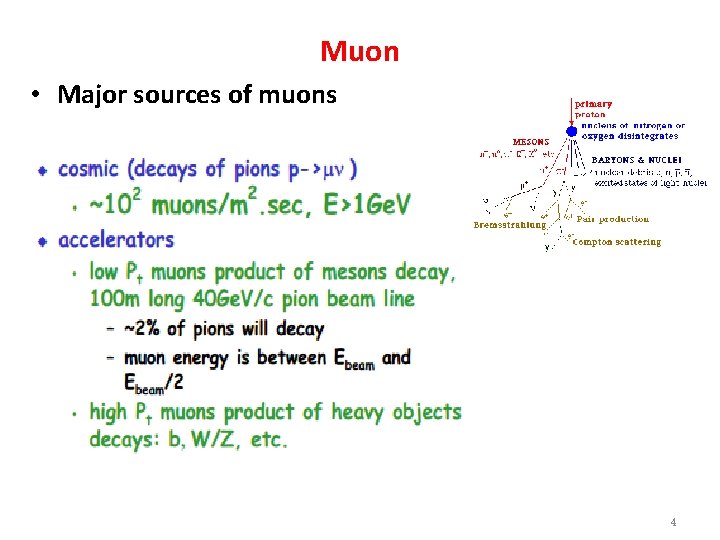 Muon • Major sources of muons 4 