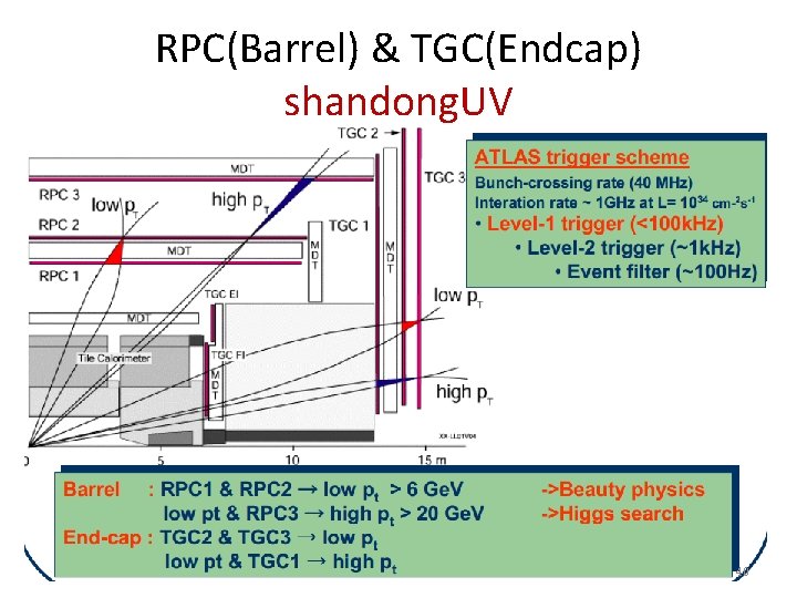 RPC(Barrel) & TGC(Endcap) shandong. UV 40 