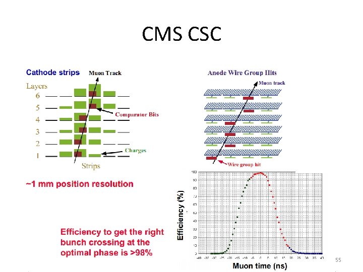CMS CSC 55 