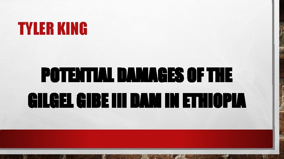 TYLER KING POTENTIAL DAMAGES OF THE GILGEL GIBE III DAM IN ETHIOPIA 