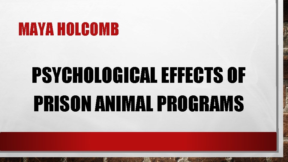 MAYA HOLCOMB PSYCHOLOGICAL EFFECTS OF PRISON ANIMAL PROGRAMS 