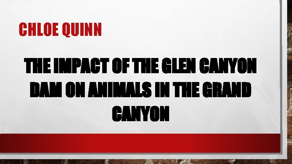 CHLOE QUINN THE IMPACT OF THE GLEN CANYON DAM ON ANIMALS IN THE GRAND