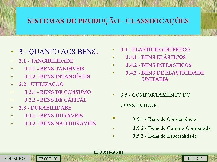 SISTEMAS DE PRODUÇÃO - CLASSIFICAÇÕES • 3 - QUANTO AOS BENS. • • •