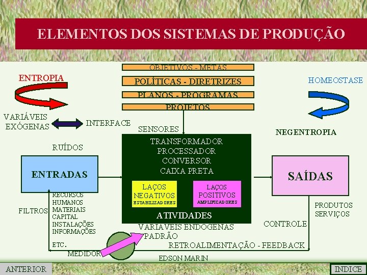 ELEMENTOS DOS SISTEMAS DE PRODUÇÃO OBJETIVOS - METAS ENTROPIA VARIÁVEIS EXÓGENAS INTERFACE RUÍDOS ENTRADAS