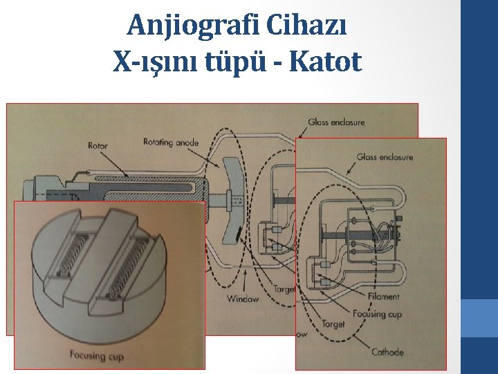 Anjiografi Cihazı X-ışını tüpü - Katot 1. Filament 2. Odaklayıcı başlık (Focusing cup) 
