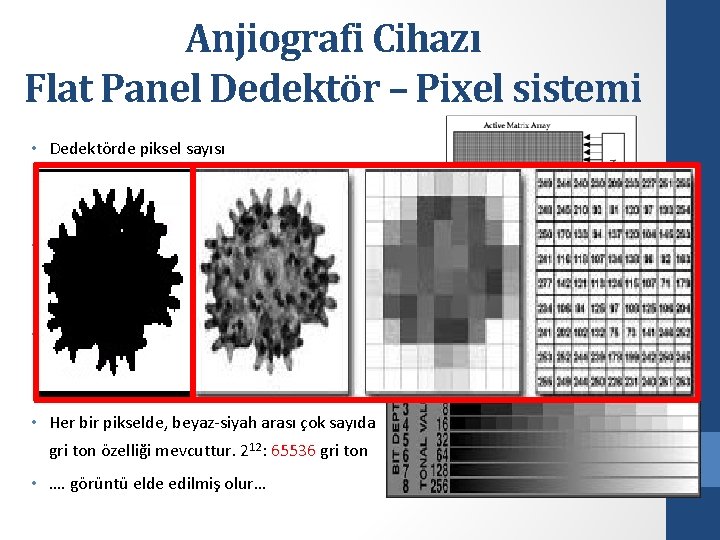 Anjiografi Cihazı Flat Panel Dedektör – Pixel sistemi • Dedektörde piksel sayısı • 512
