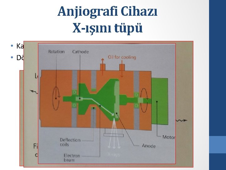 Anjiografi Cihazı X-ışını tüpü • Katot (-) • Döner Anot (+) 