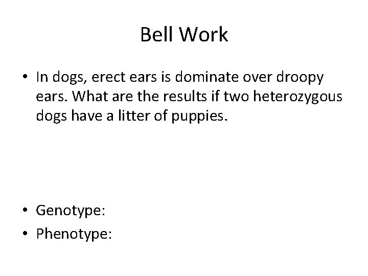 Bell Work • In dogs, erect ears is dominate over droopy ears. What are