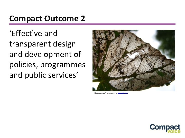 Compact Outcome 2 ‘Effective and transparent design and development of policies, programmes and public