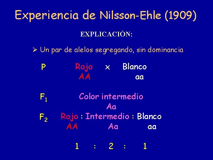 Experiencia de Nilsson-Ehle (1909) EXPLICACIÓN: Un par de alelos segregando, sin dominancia P F