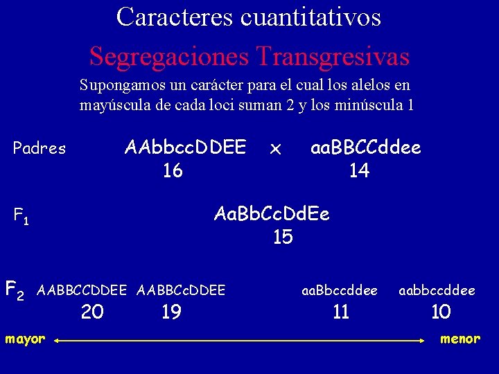 Caracteres cuantitativos Segregaciones Transgresivas Supongamos un carácter para el cual los alelos en mayúscula