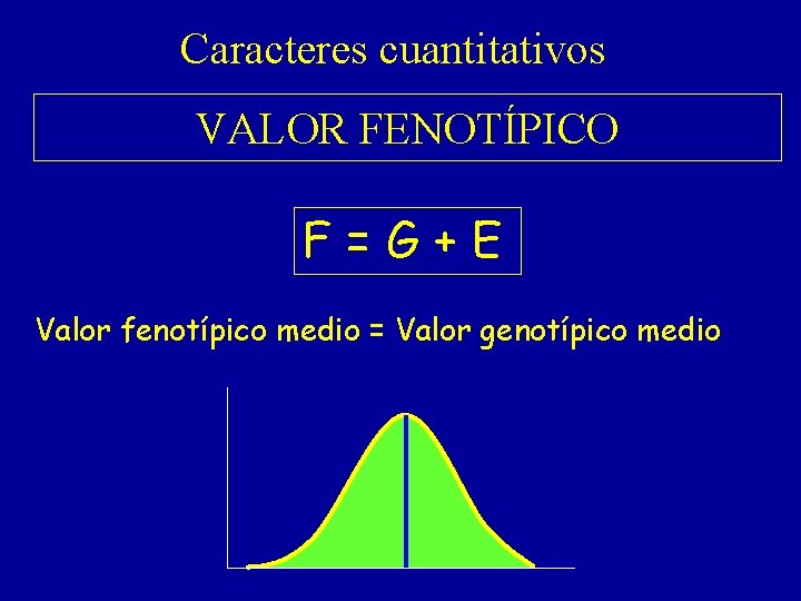 Caracteres cuantitativos VALOR FENOTÍPICO F=G+E Valor fenotípico medio = Valor genotípico medio 