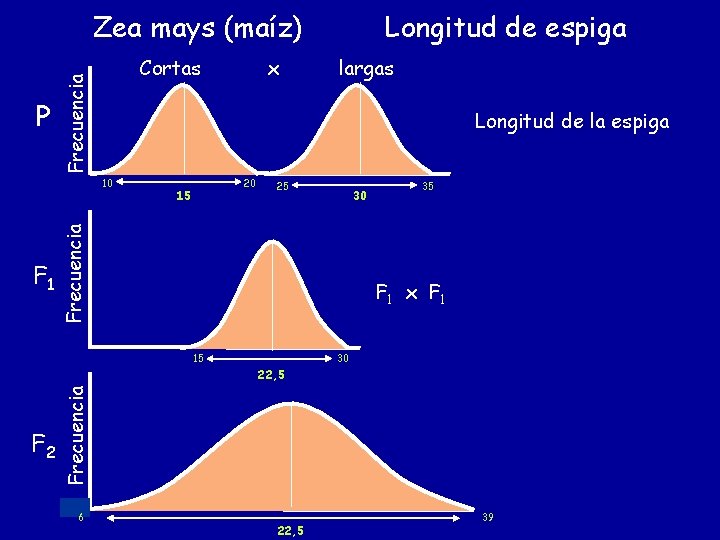 Zea mays (maíz) Frecuencia P Cortas largas Longitud de la espiga 15 20 25