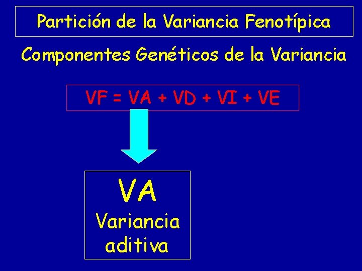 Partición de la Variancia Fenotípica Componentes Genéticos de la Variancia VF = VA +