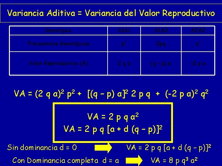 Variancia Aditiva = Variancia del Valor Reproductivo Genotipos A 1 A 1 A 1