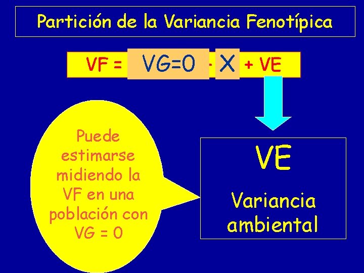 Partición de la Variancia Fenotípica VF = VA + VD + VI VG=0 X