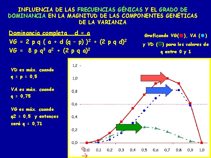 INFLUENCIA DE LAS FRECUENCIAS GÉNICAS Y EL GRADO DE DOMINANCIA EN LA MAGNITUD DE