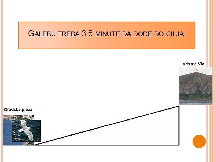 GALEBU TREBA 3, 5 MINUTE DA DOĐE DO CILJA. Vrh sv. Vid Gradska plaža GALEBU TREBA 3, 5 MINUTE DA DOĐE DO CILJA. Vrh sv. Vid Gradska plaža
