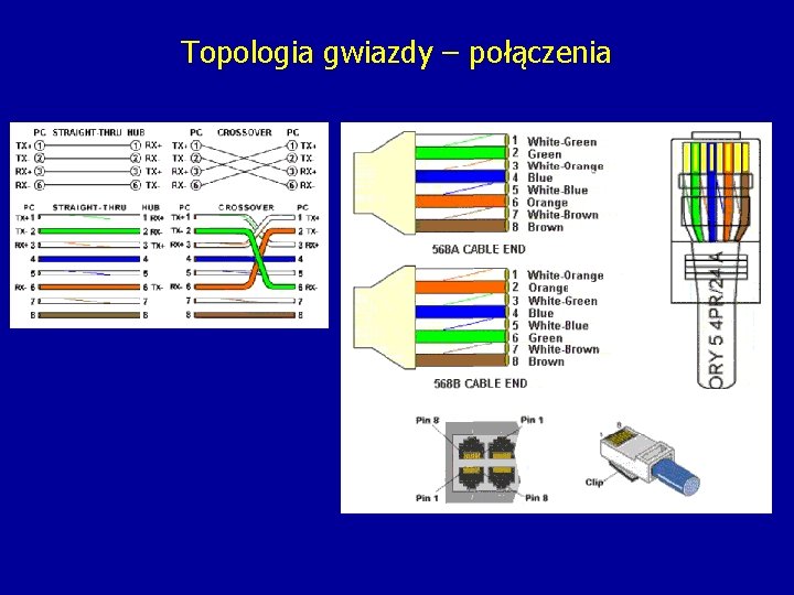 Topologia gwiazdy – połączenia 