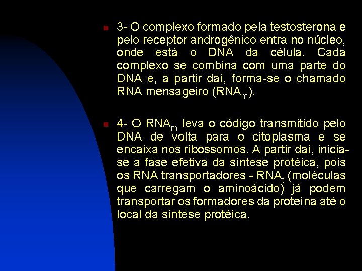n n 3 - O complexo formado pela testosterona e pelo receptor androgênico entra