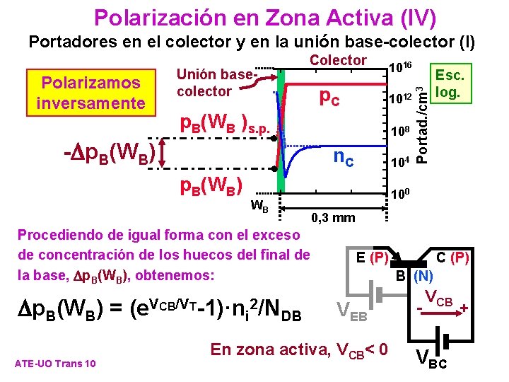 Polarización en Zona Activa (IV) Portadores en el colector y en la unión base-colector