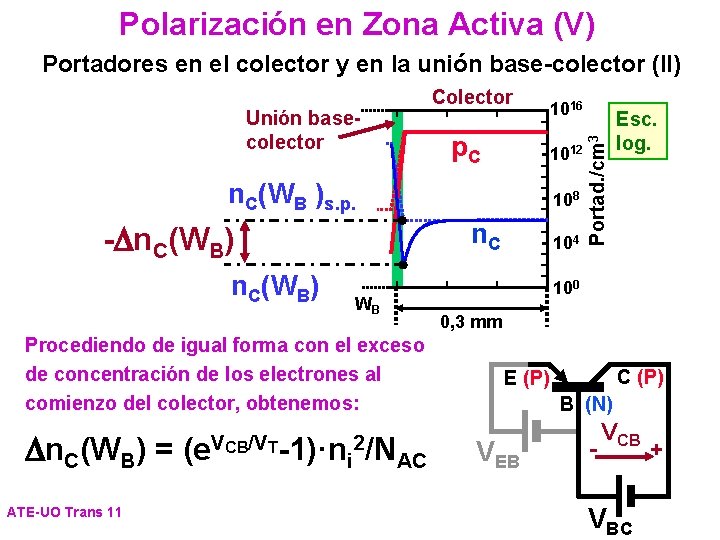 Polarización en Zona Activa (V) Portadores en el colector y en la unión base-colector
