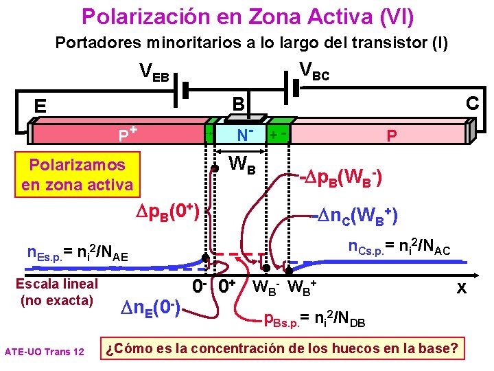 Polarización en Zona Activa (VI) Portadores minoritarios a lo largo del transistor (I) VBC