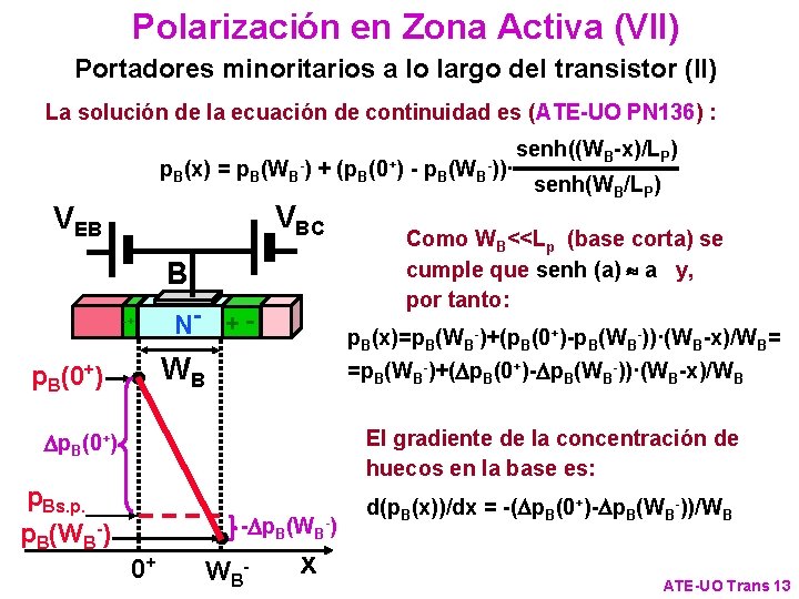 Polarización en Zona Activa (VII) Portadores minoritarios a lo largo del transistor (II) La