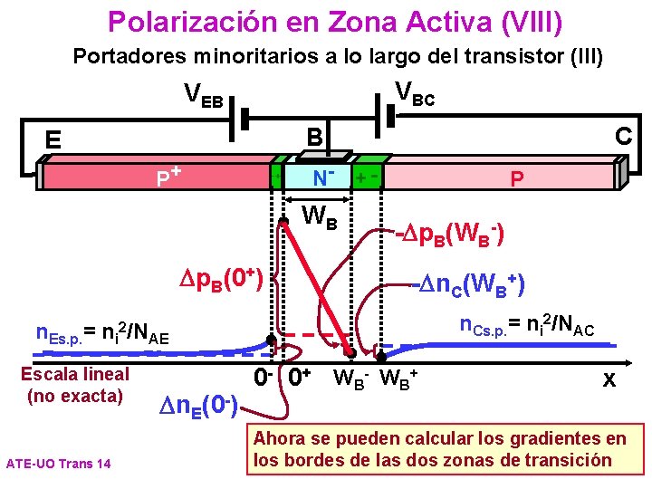 Polarización en Zona Activa (VIII) Portadores minoritarios a lo largo del transistor (III) VBC