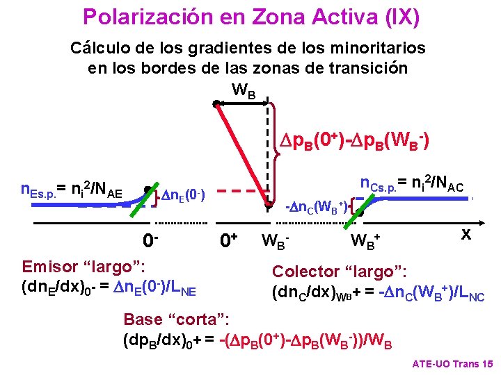Polarización en Zona Activa (IX) Cálculo de los gradientes de los minoritarios en los
