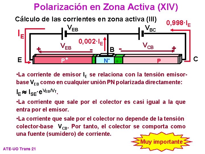 Polarización en Zona Activa (XIV) Cálculo de las corrientes en zona activa (III) VEB