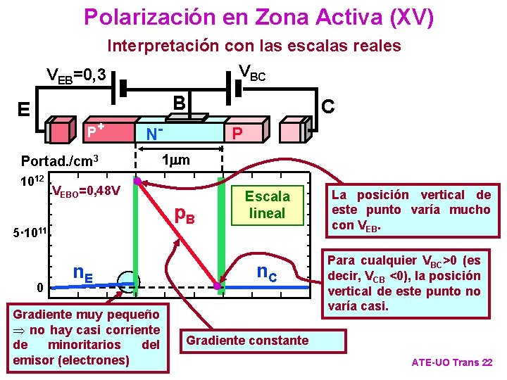 Polarización en Zona Activa (XV) Interpretación con las escalas reales VBC VEB=0, 3 B