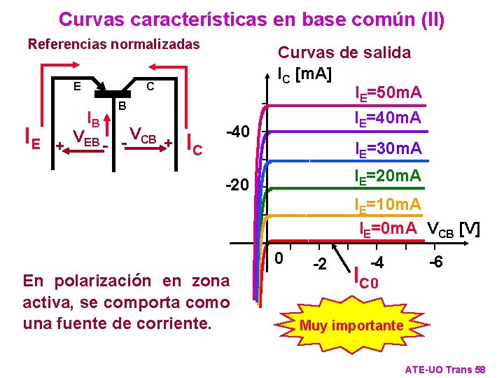 Curvas características en base común (II) Referencias normalizadas E IE C IB + Curvas