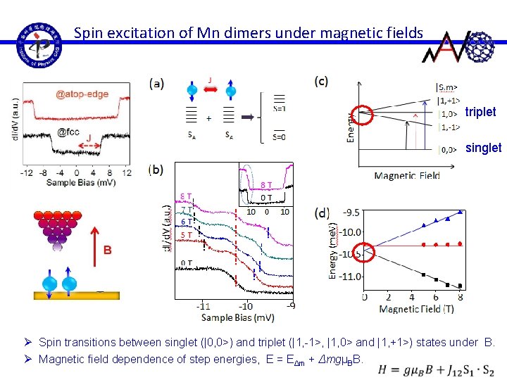 Spin excitation of Mn dimers under magnetic fields triplet singlet Ø Spin transitions between